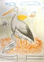 Mihályiová Barbara.jpg